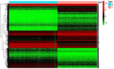 β3GNT9 as a prognostic biomarker in glioblastoma and its association with glioblastoma immune infiltration, migration and invasion